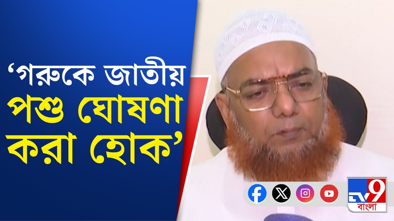 No More Public Slaughter: গরুকে জাতীয় পশু ঘোষণার দাবি নাখোদা মসজিদের ইমামের