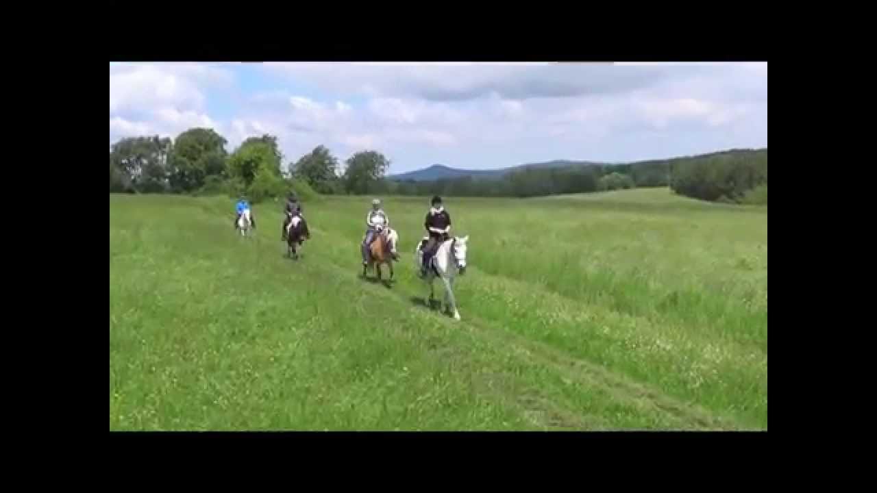 Alternatives Reiten lernen mit PFERD & REITER