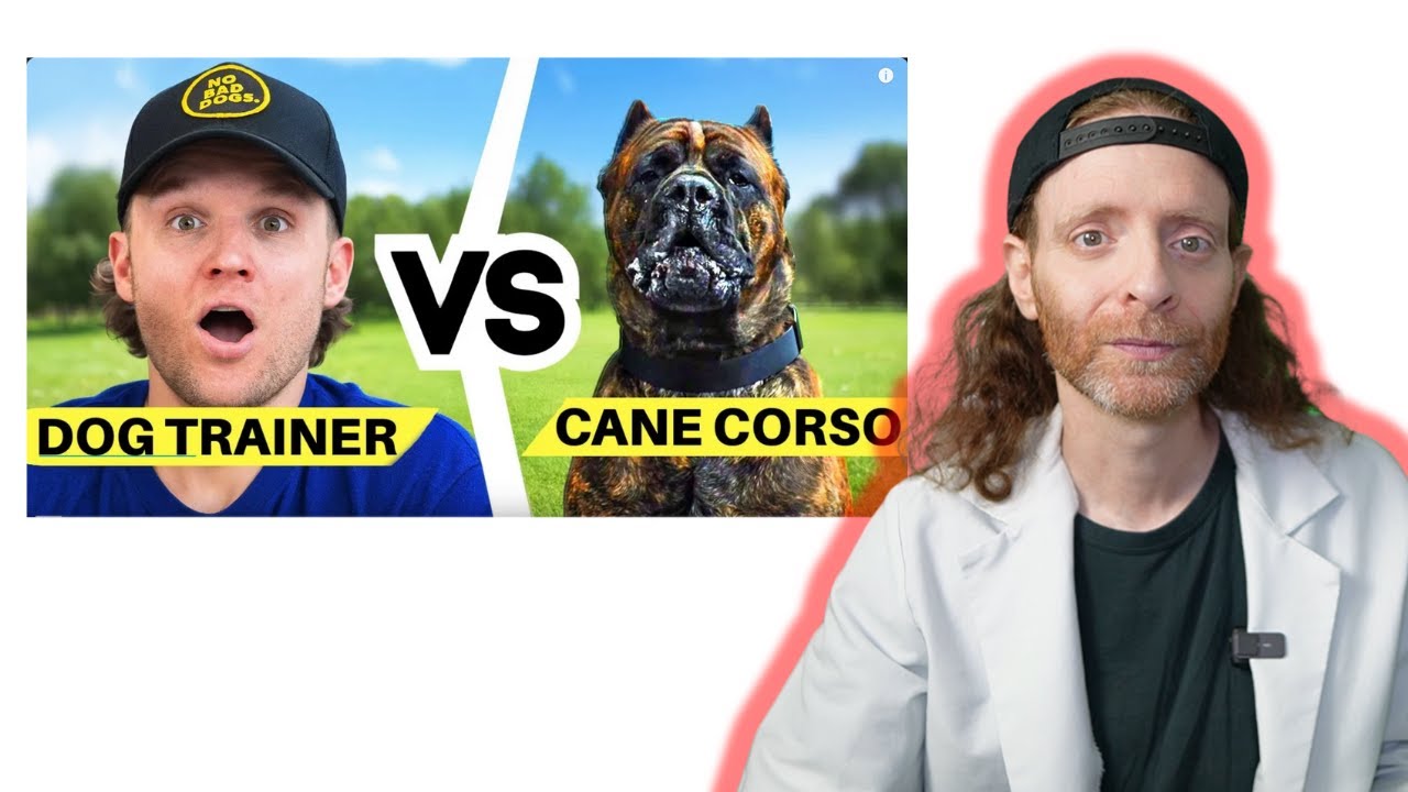 Can Tom Davis Train Without a Prong? Veterinarian Reacts