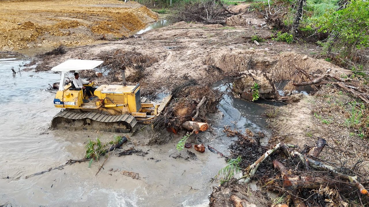 Full processing video bulldozer pushing dirt filling land with powerful skill