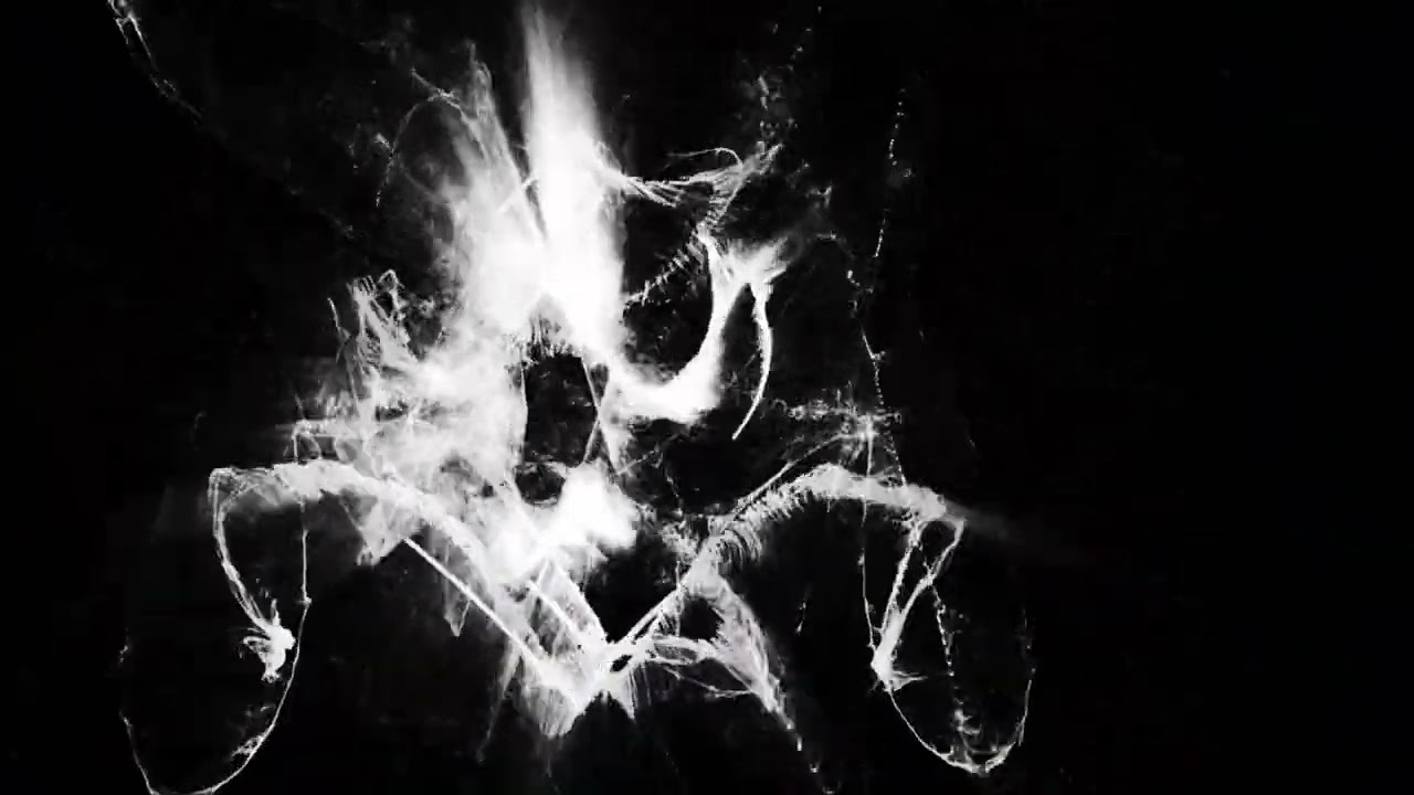 Forest Circles - Diver