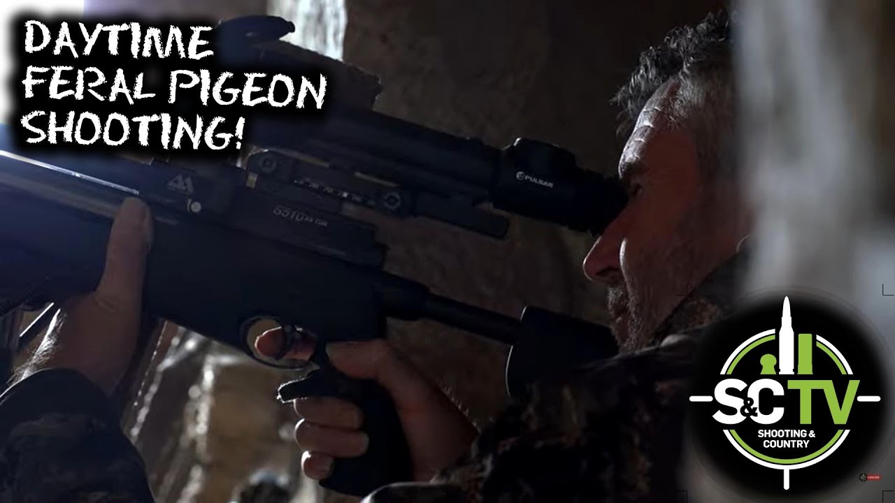 S&C TV | Air rifle hunting with Mick Garvey 7 | Daylight feral pigeon shooting with air rifles