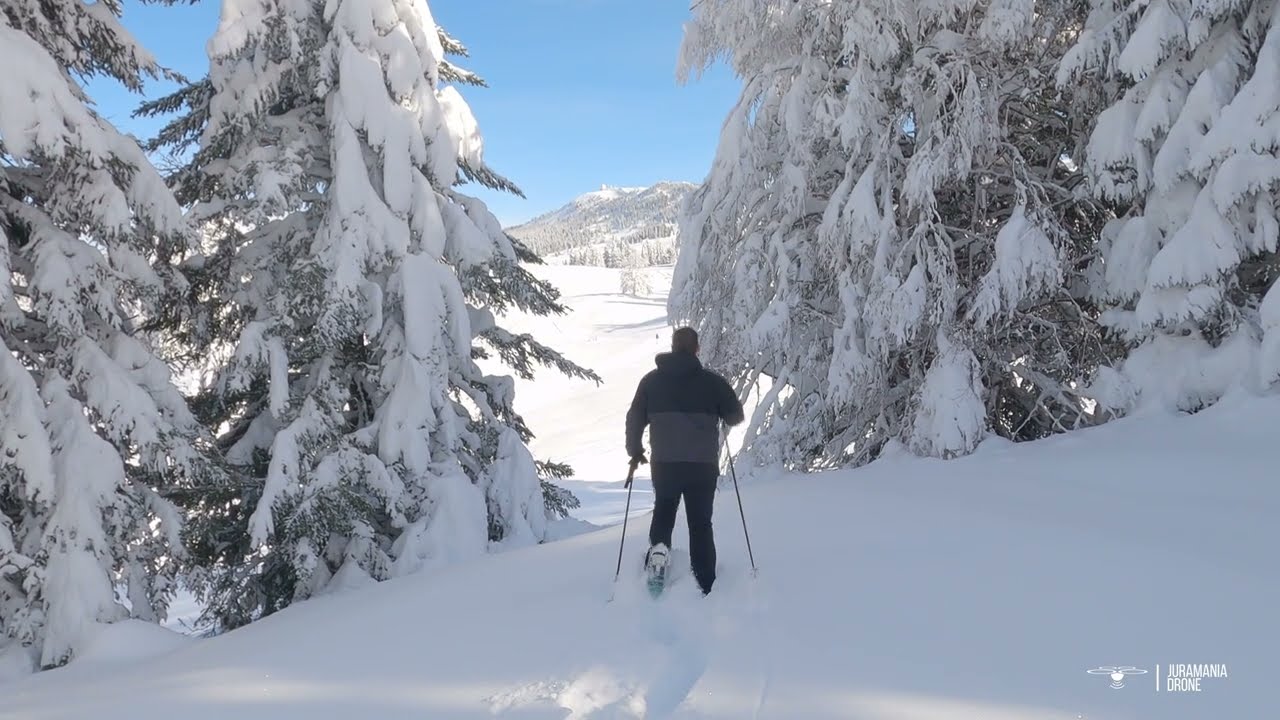 Haut-Jura en hiver : un océan de neige sous un soleil parfait