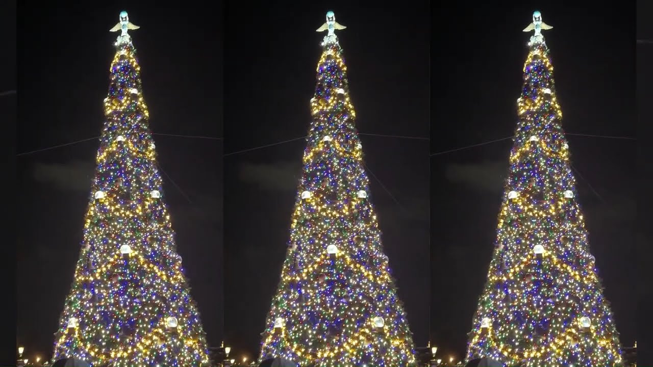 20251226 20260106 WDW81