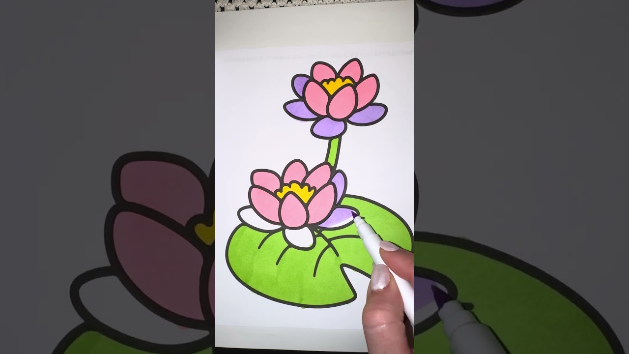 Relaxing Pond Lily Drawing Process 🌿