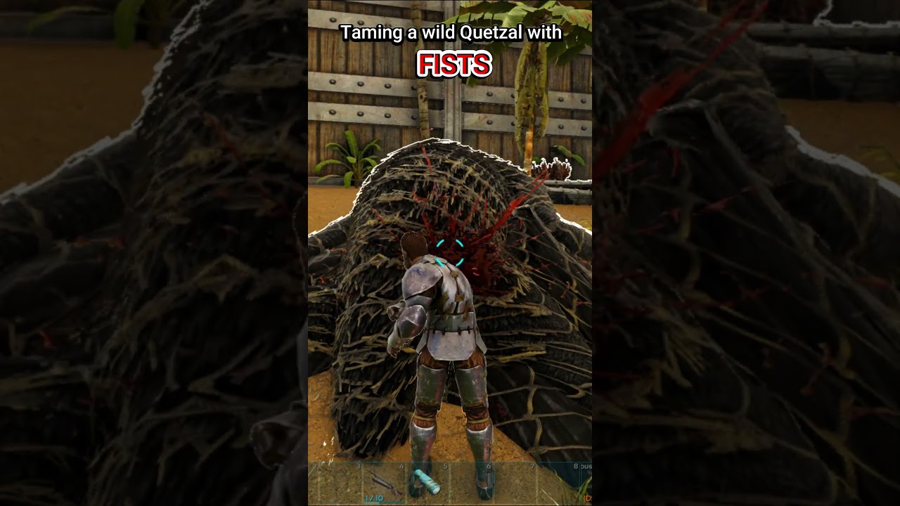 Challenge: TAME QUETZAL WITH FISTS 