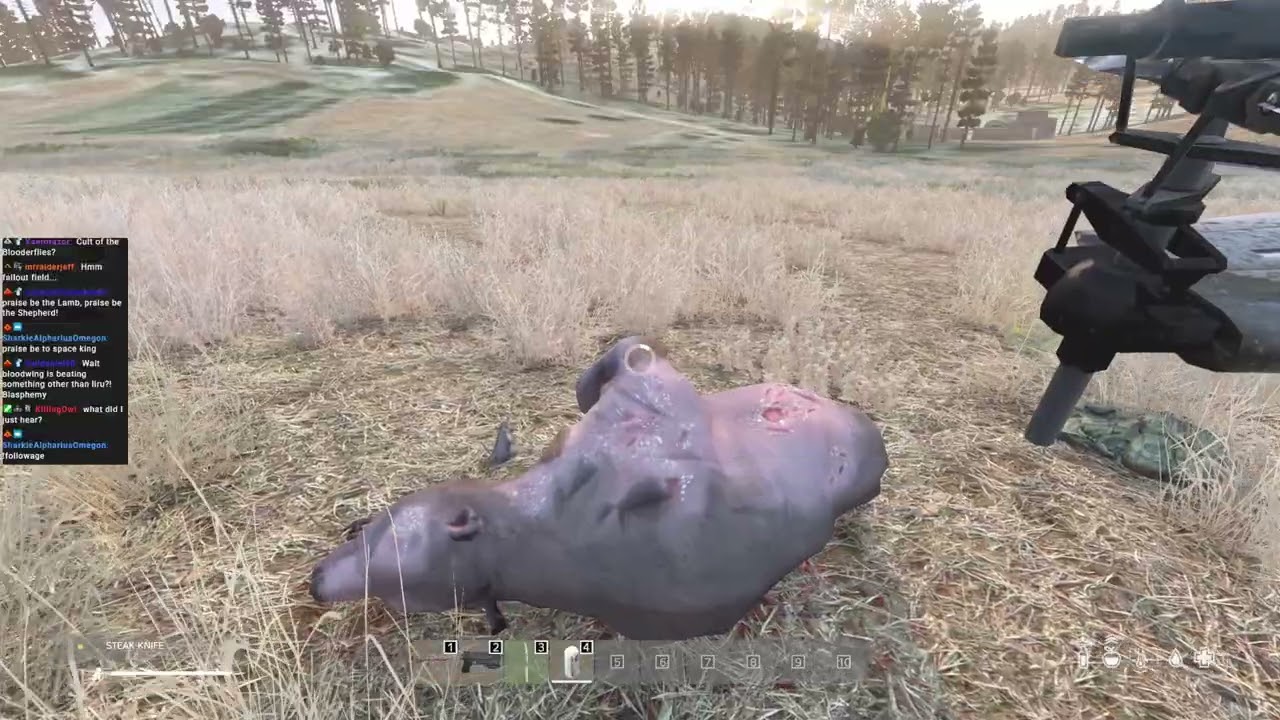 DayZ in a fallout Universe desperate to survive VOD 1/23/2026