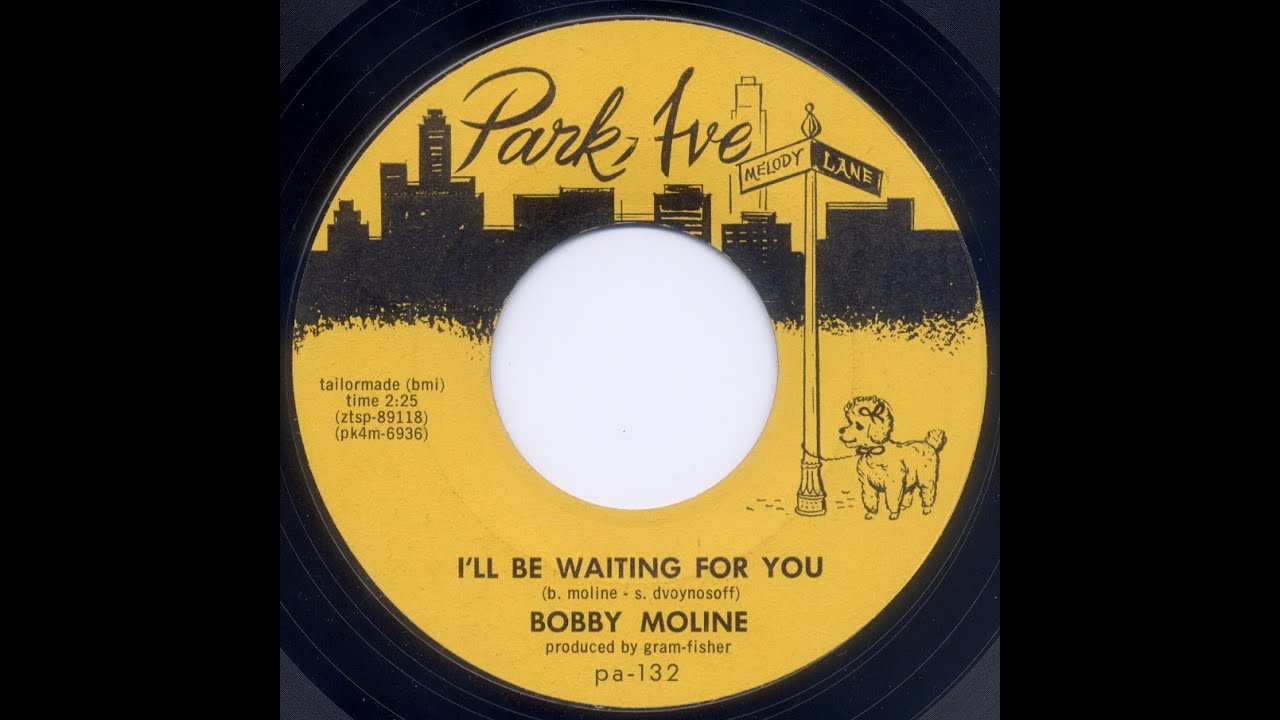 I'll Be Waiting For You - Bob Moline