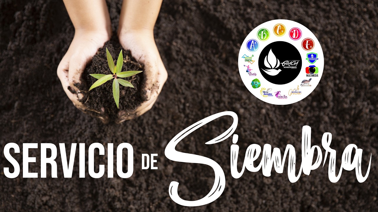 Servicio de Siembra - 8 de Febrero (Distrito 3)