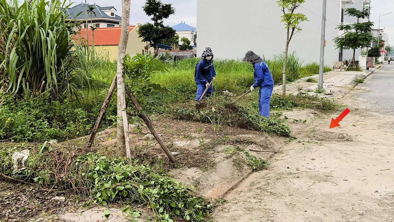 Roll Grass The Fastest Way to Clear Overgrown Sidewalks & How We Handled Dangerous Concrete Bumps!
