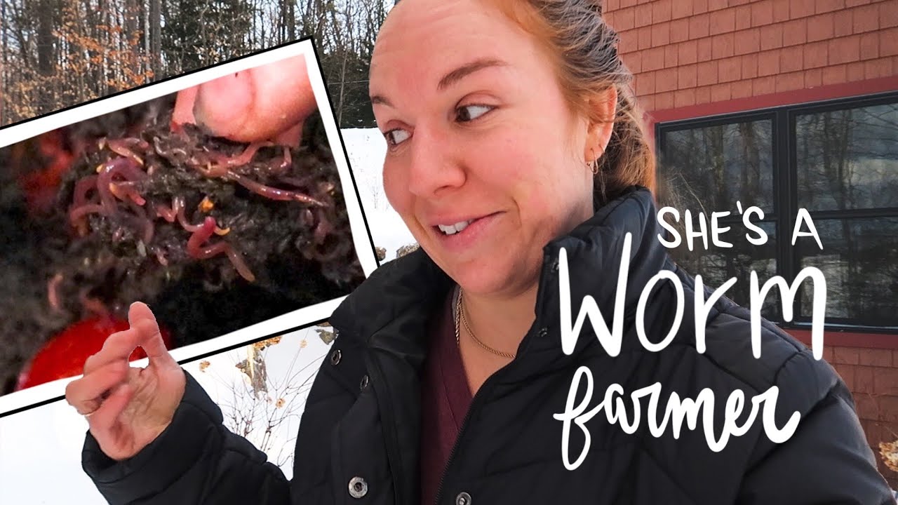 Feeding my worms / Thinking about Container Gardening | VLOG