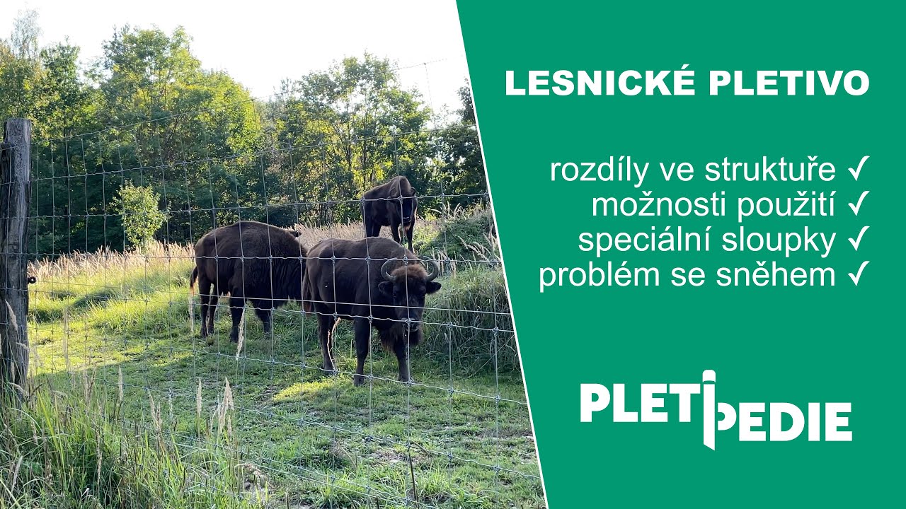 Lesnické uzlové pletivo – vše, na co jste se chtěli zeptat | Pletipedie [4K]