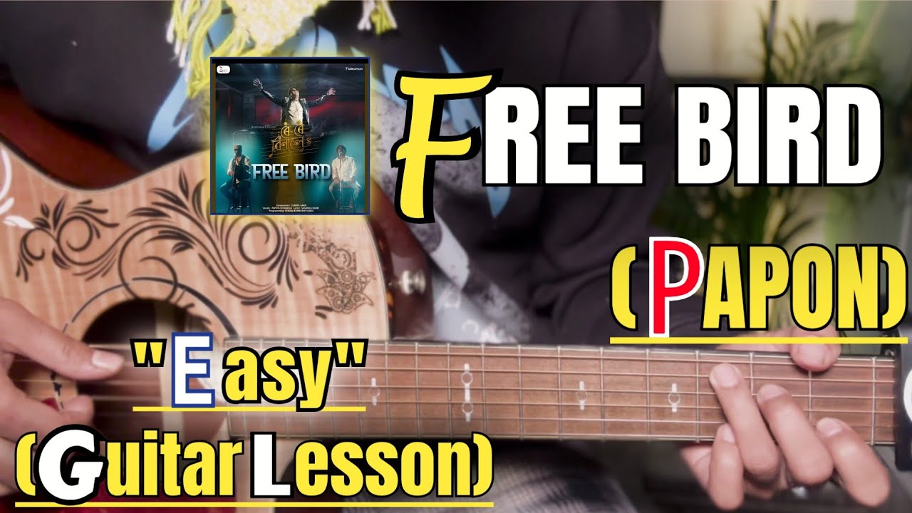 FREE BIRD - Papon | Guitar Lesson | Easy Chords | (ROI ROI BINALE)