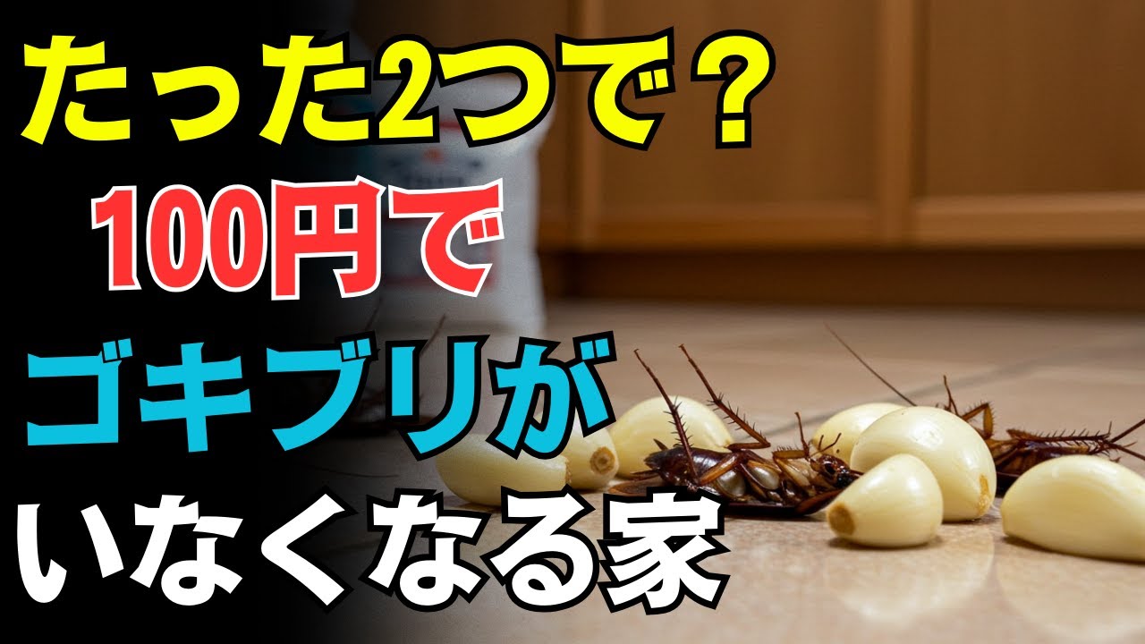 ニンニク1片と重曹でゴキブリを退治――薬いらずの安心法｜賢いトリック