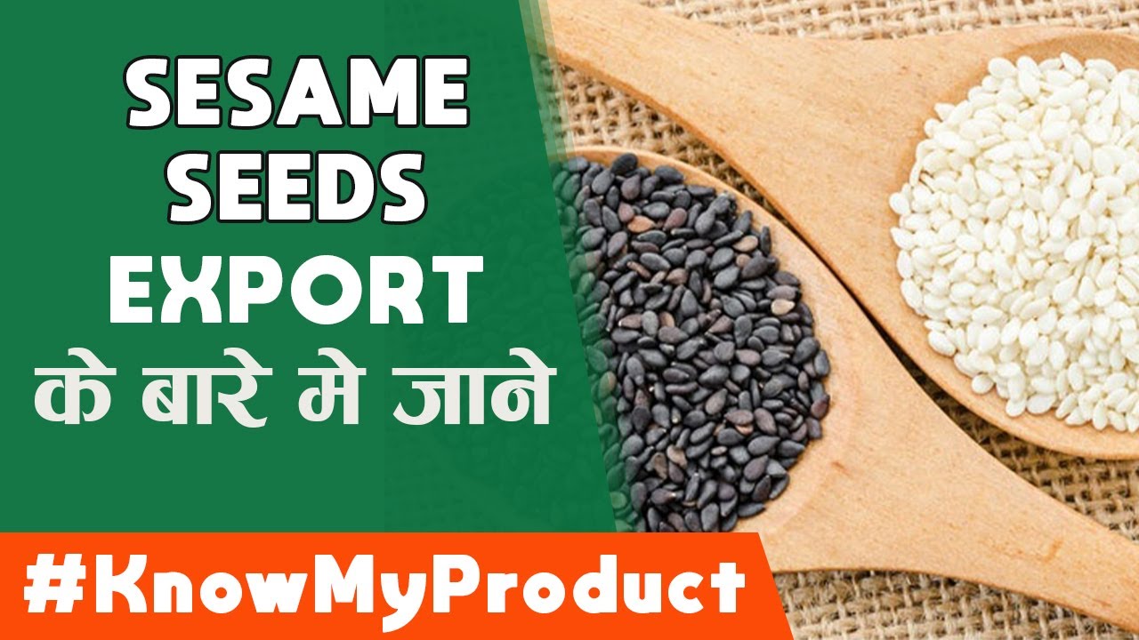 Know My Product - EP09 - How to Export Sesame Seeds  [तिल के बीज] | iiiEM