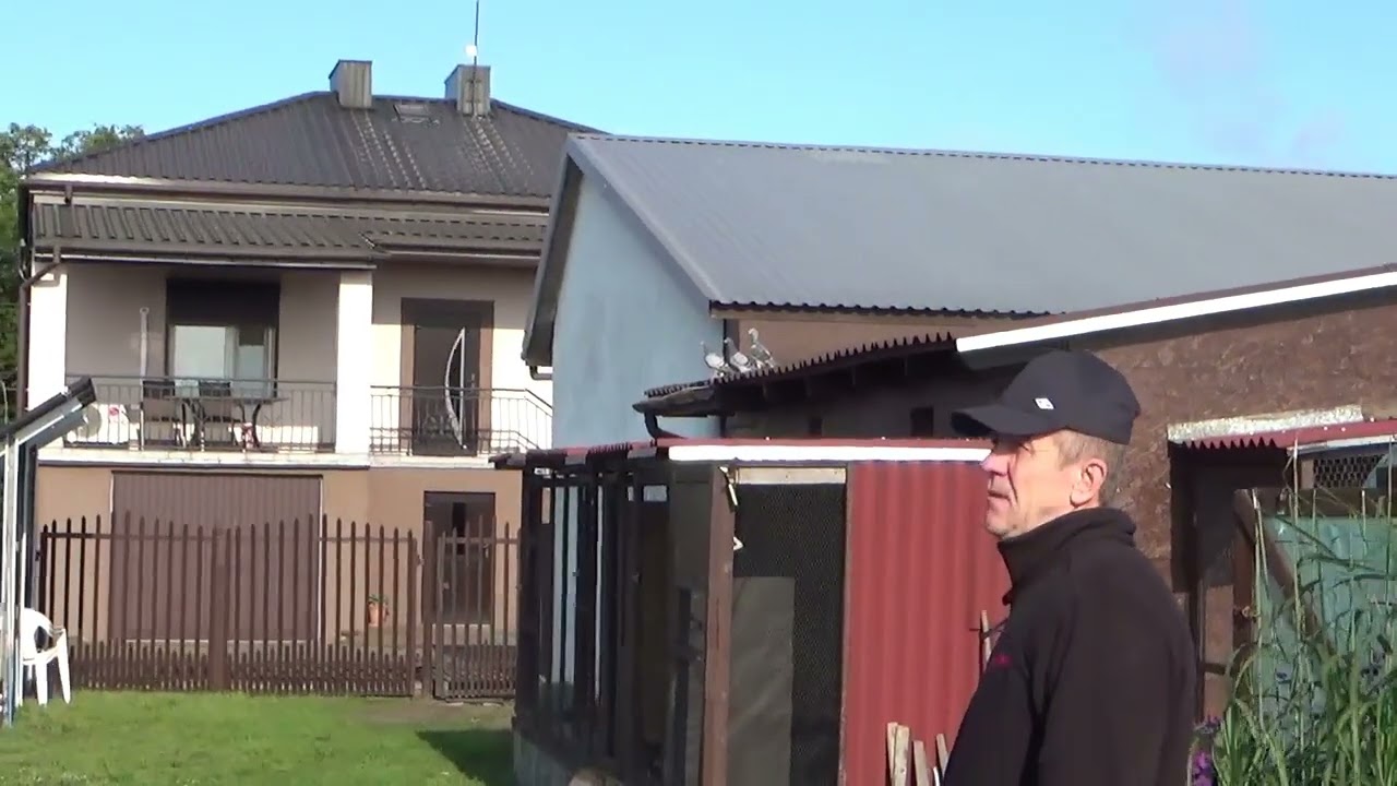 Pierwsza próbna kabina gołębi młodych.....