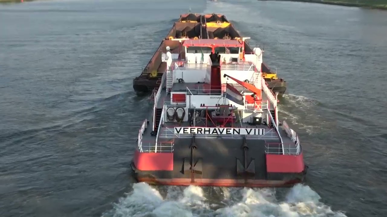 VEERHAVEN VIII - NIJLPAARD