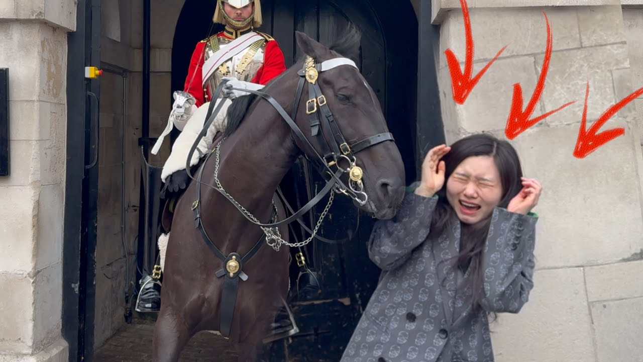 Frustrated Public Told Tourists to Get Back from the King’s Horse