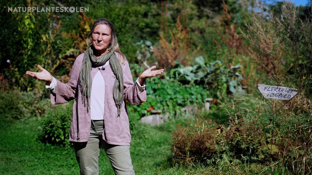 The Forest Garden at Natures Plant Nursery, Denmark