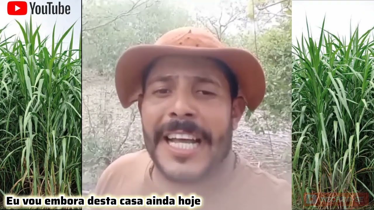 Toada eu vou embora desta casa ainda hoje Maurílio Aboiador
