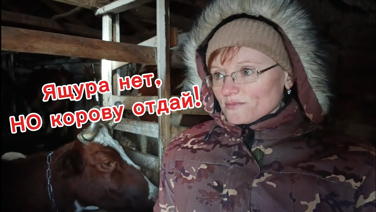 Ящур/Пастереллез/Изъятие скота/Что происходит у нас в Сибири