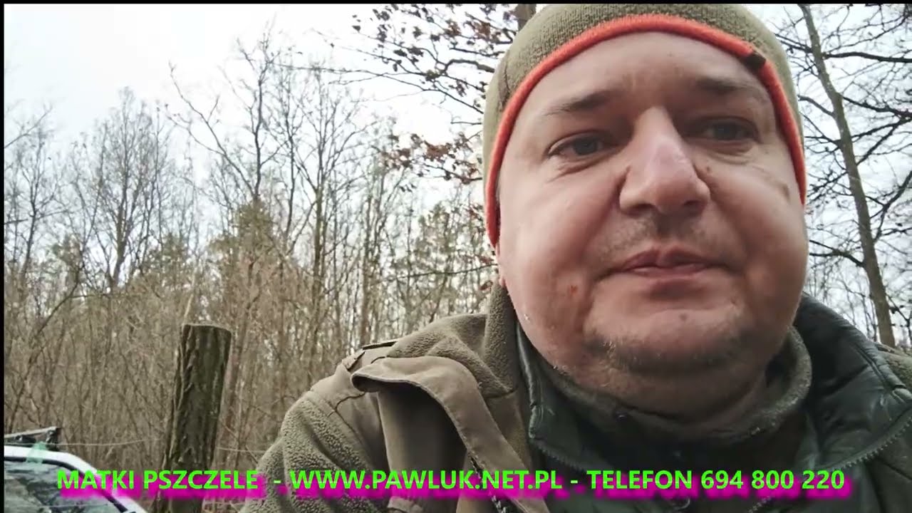 dużo miodu w 2024, zimowe przeglądy, Buckfast Mellifera, upadki rodzin pszczelich, pszczoły grudzień