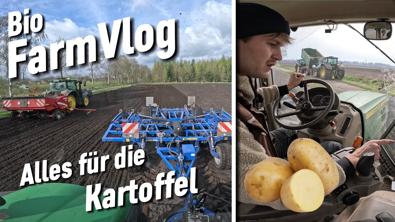 Das Osterwochenende gut genutz!! Kartoffeln pflanzen - Striegeln - Champost streuen / Vlog 81