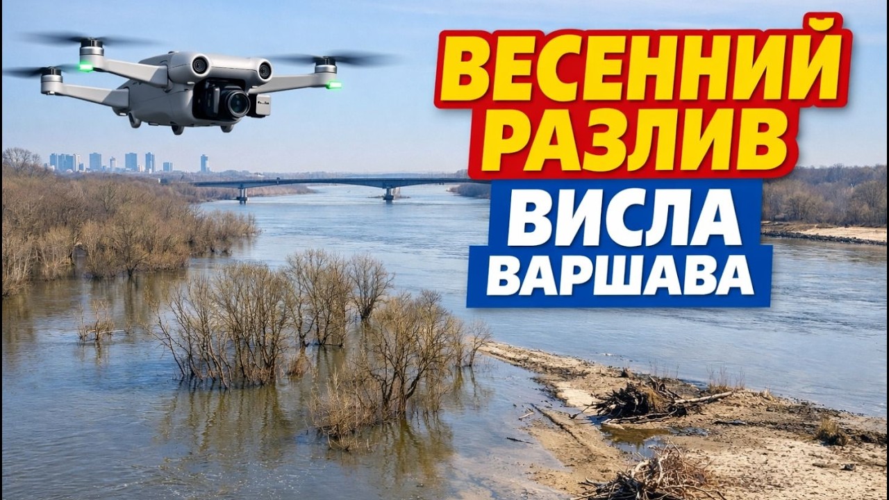 Весна на Висле в Варшаве | Разлив реки, затопленные деревья | Полёт дрона DJI Mini 4 Pro