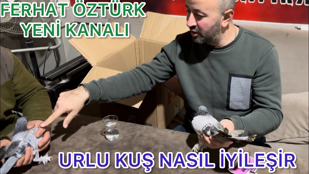 KANADI UR OLAN KUŞLARA BAKIN NASIL TEDAVİ UYGULADIK  SONUCU HEP BİRLİKTE GÖRELİM