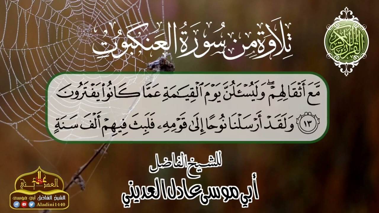 تلاوة من سورة ( العنكبوت ) للشيخ أبي موسى عادل العديني