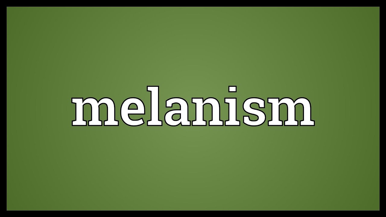 Melanism Meaning