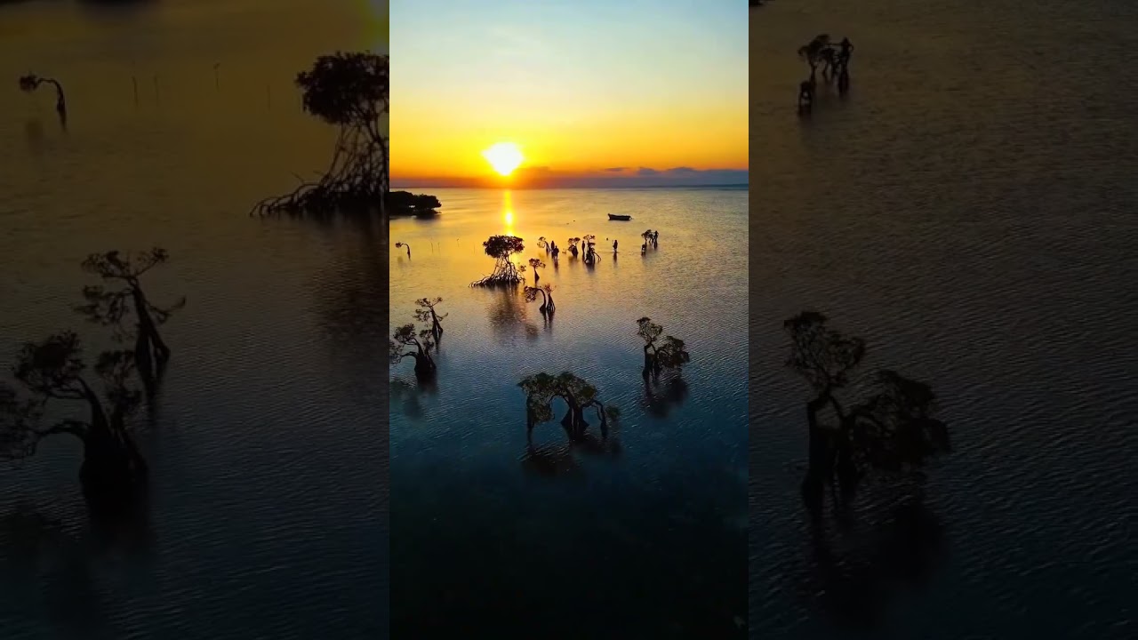 📍 walakiri beach , east sumba  , east nusa tenggara