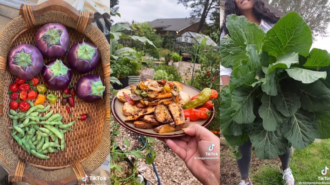 I don’t want to work anymore, I just want to farm | Garden to Table Harvesttok Compilation