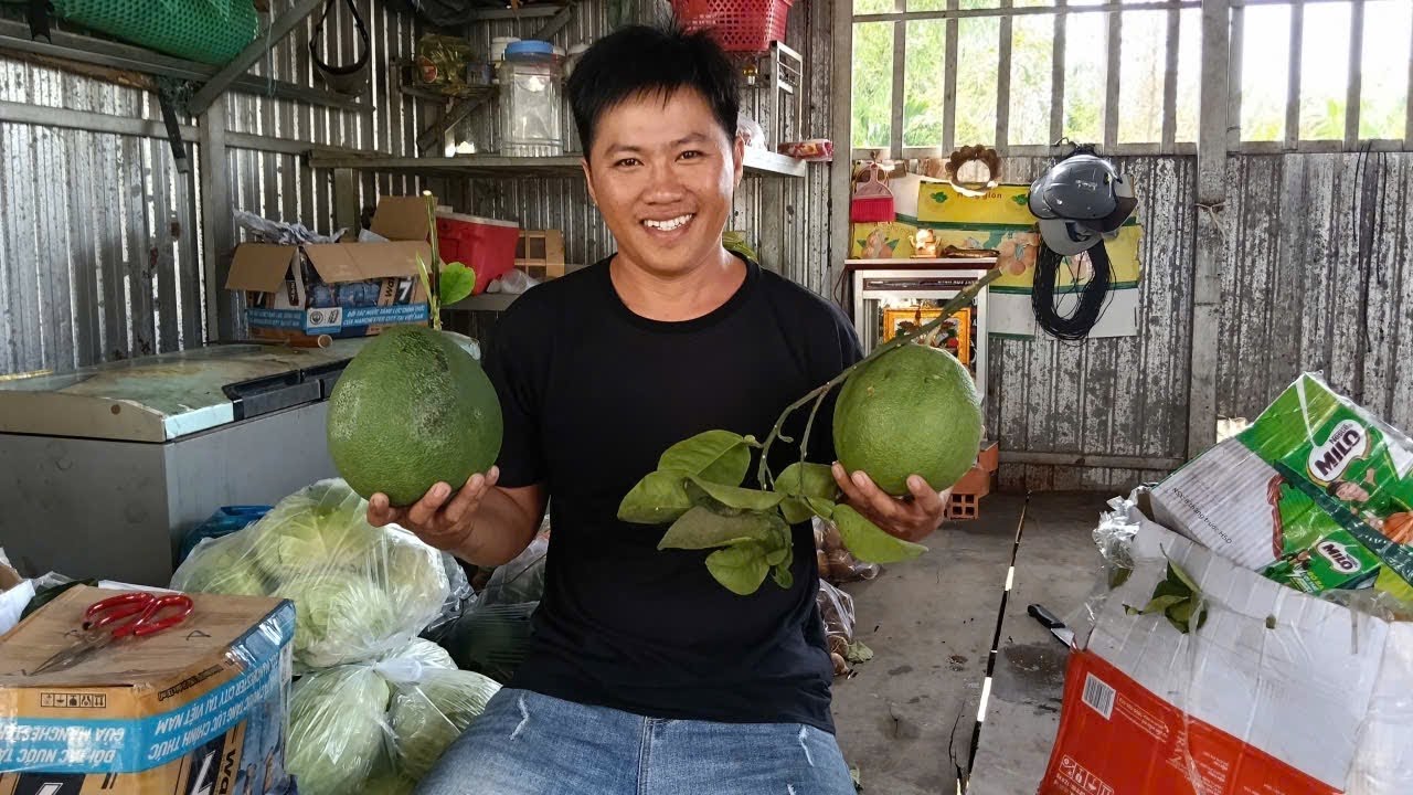 Lấy Trái Cây Cùng Vợ Bán Tết - Thạch Vui Vẻ ANP