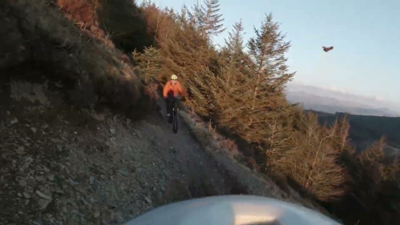 Whinlatter biking directors cut 