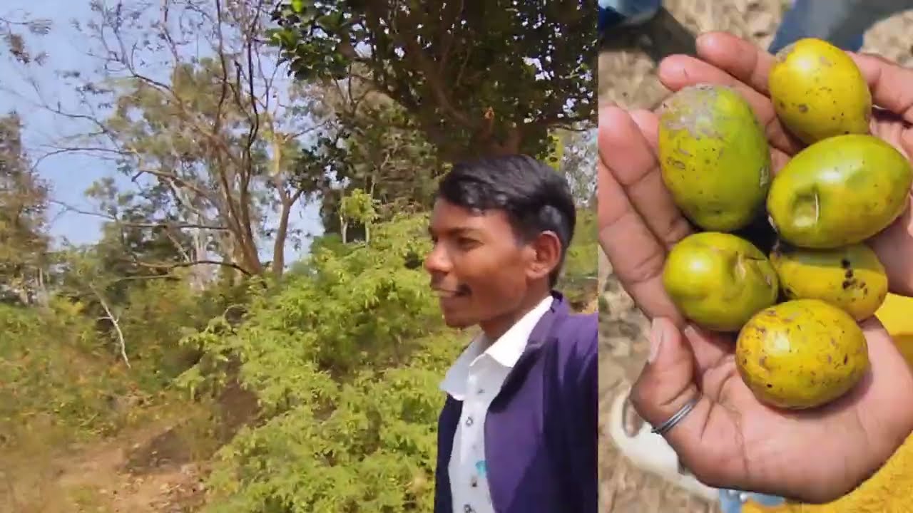 पहाड़ों के बीच में सर्वे 