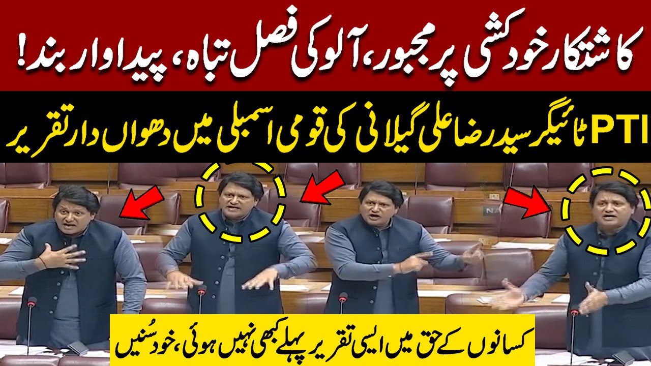PTI Syed Raza Ali Gilani’s Fiery Speech in National Assembly on Potato Crop | Farmers Destroyed