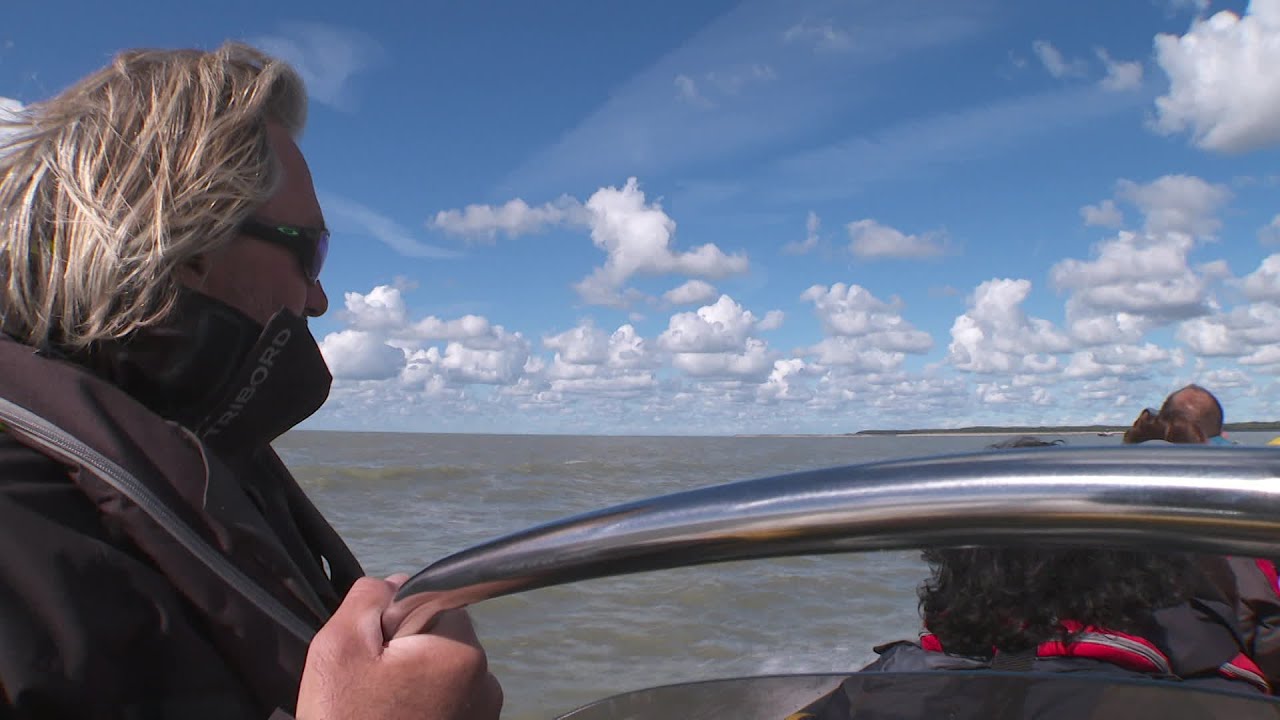 Promenade en mer avec Cap baie de Somme