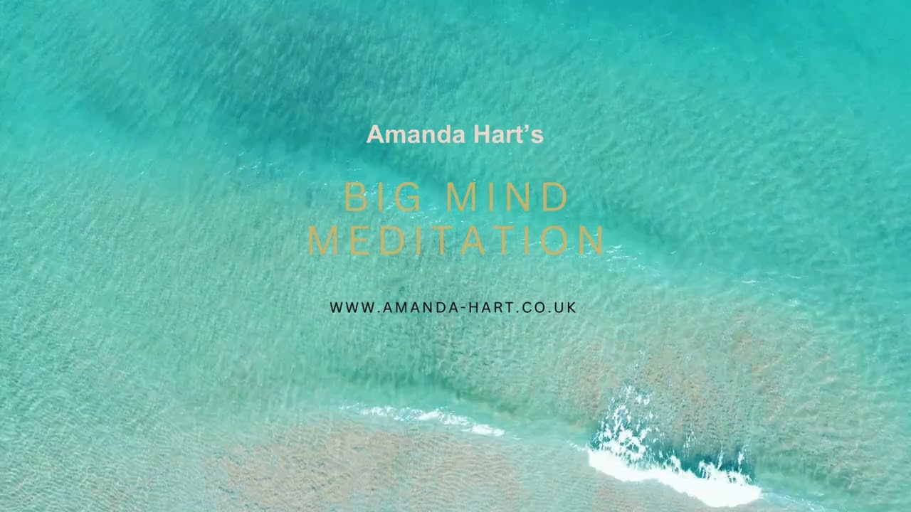 The Big Mind Meditation
