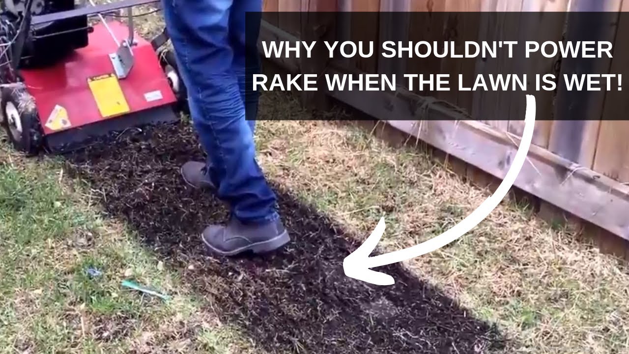 Why You Shouldn't Power Rake When The Lawn Is Wet