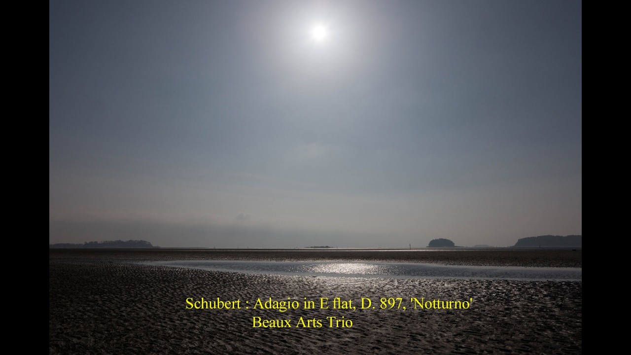 Schubert : Adagio in E flat, D.897, 'Notturno'