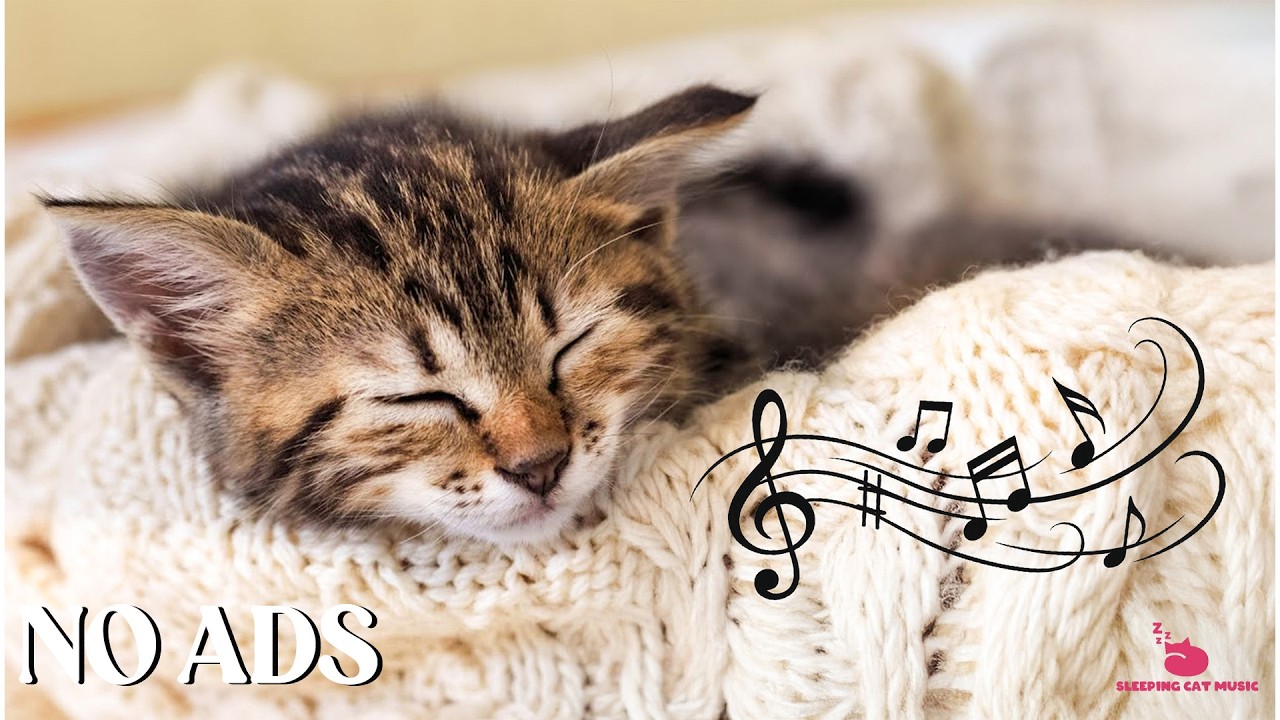 Deep Sleep Music For Cat 🐈 Soothing Sounds Reduce Anxiety & Calms Your Cat and Relaxation