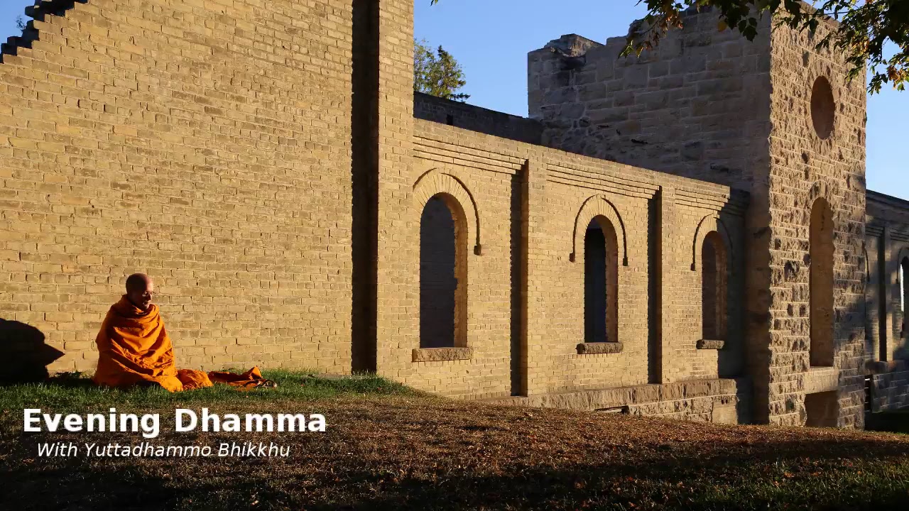 Evening Dhamma: Mindfulness of Mind