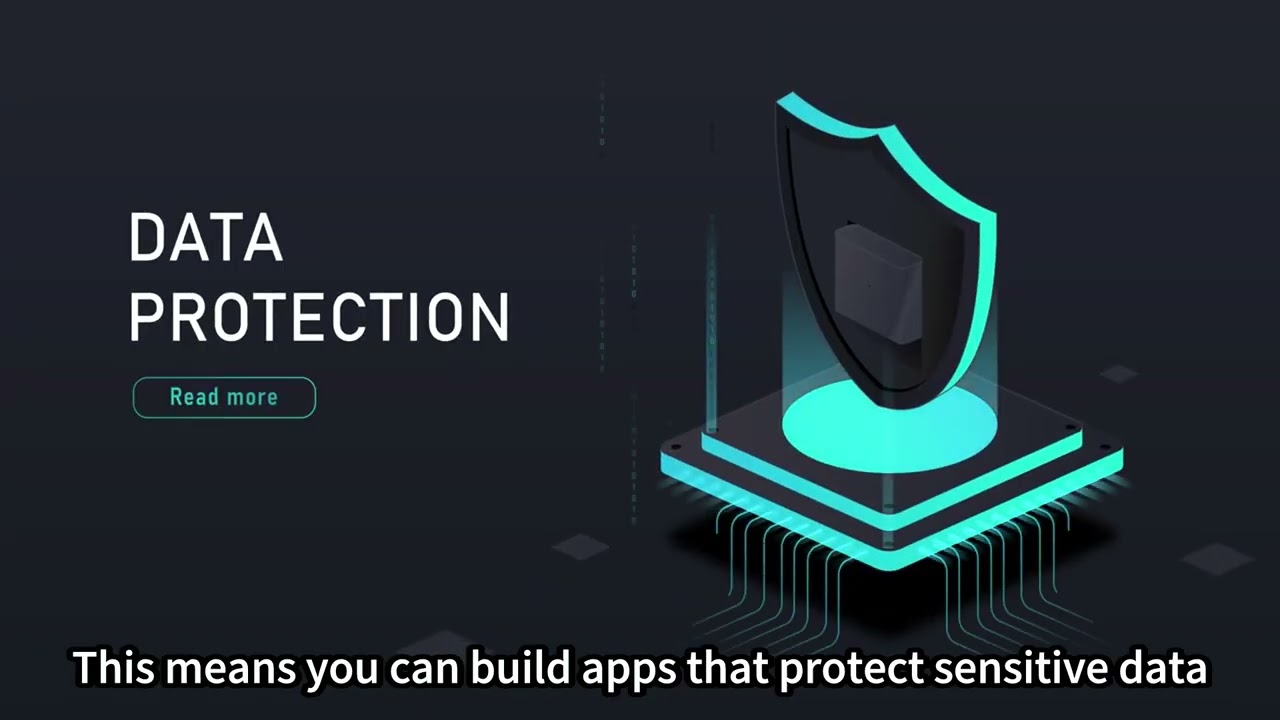 Privacy's New Frontier: Oasis Network