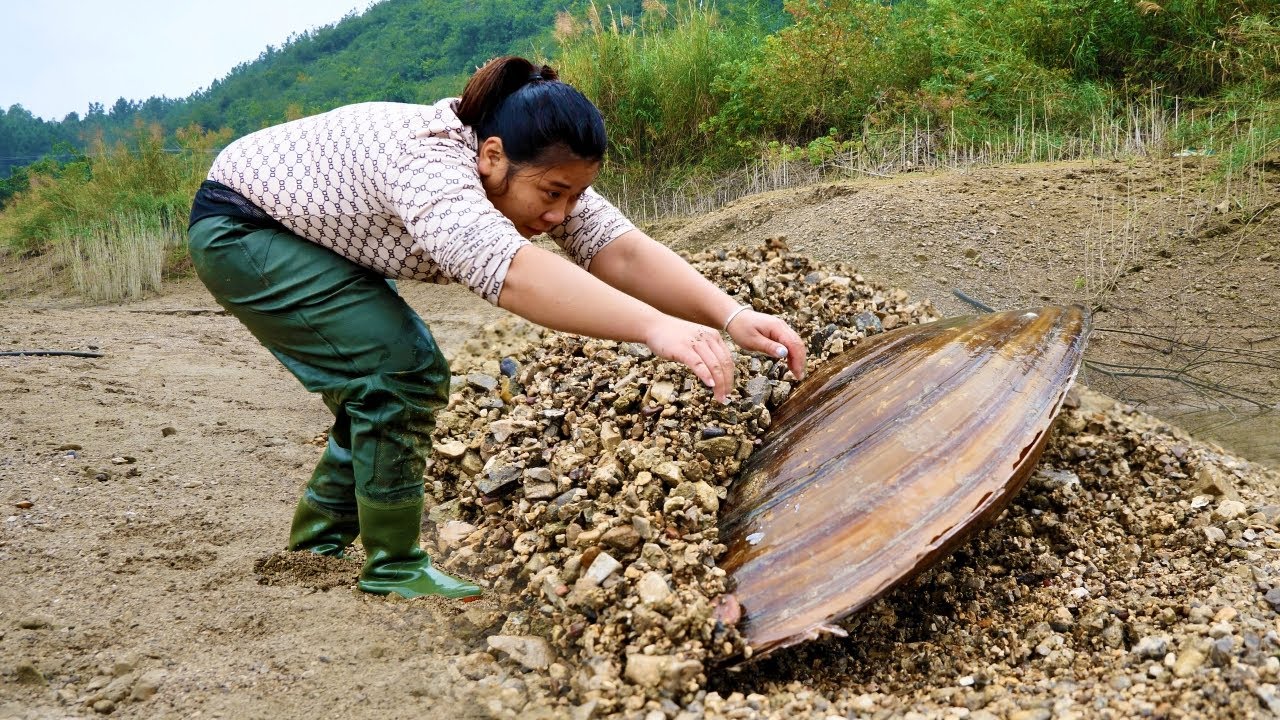 The freshwater clam was buried deep in the sand and accidentally dug up a treasure by a girl