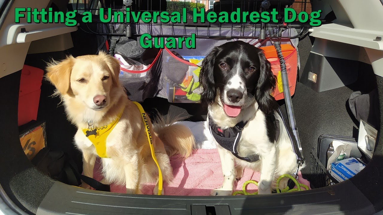 Sakura Universal Headrest Dog Guard   MG ZS EV