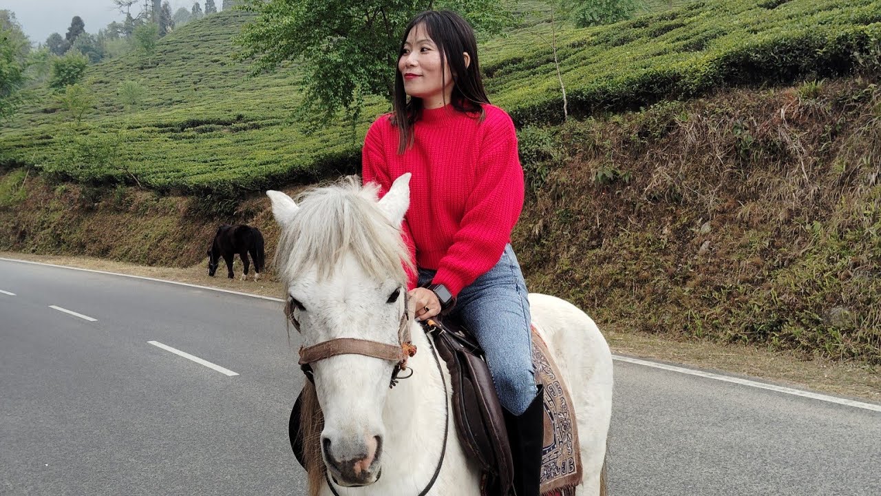 Traditional dress👗, horse🐎riding🐴 available.