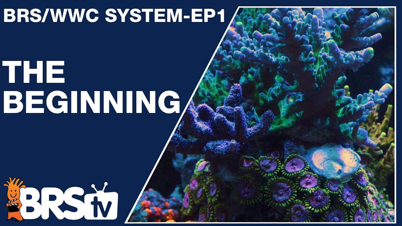 Ep1: How we setup a simple and stable reef tank | The BRS/WWC System