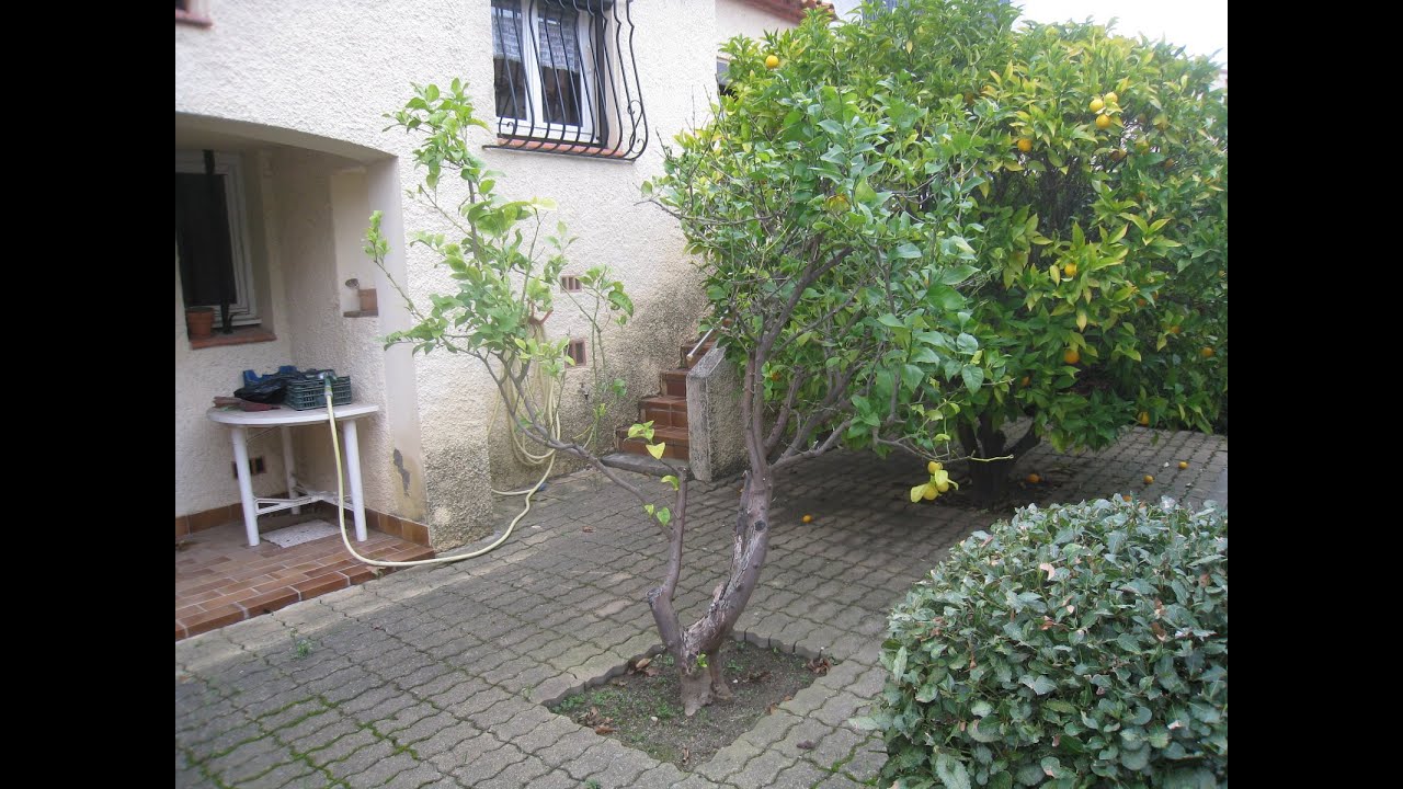 M.4879 / VENTE VILLA ARGELES 4 PIÈCES 65 M² 210 M² VILLA PROCHE VILLAGE