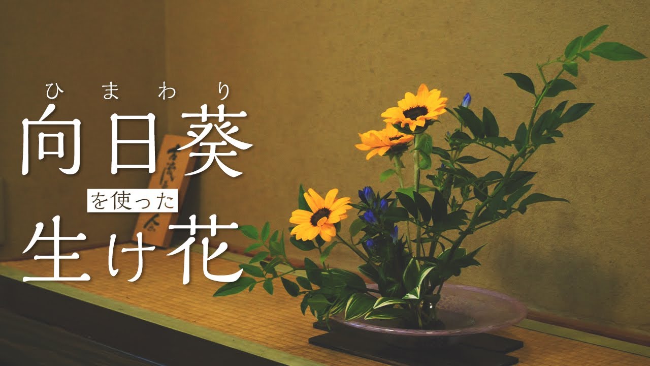 【生け花】向日葵を使った作品を紹介します！【Ikebana】華道家 宮本理城の生け花レッスン